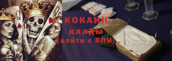 шишки Иннополис