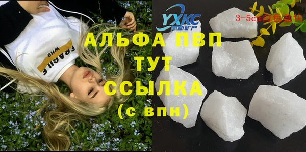 шишки Иннополис