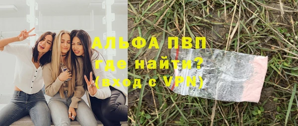 шишки Иннополис