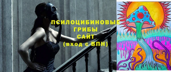 шишки Иннополис