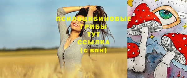 таблы Инта
