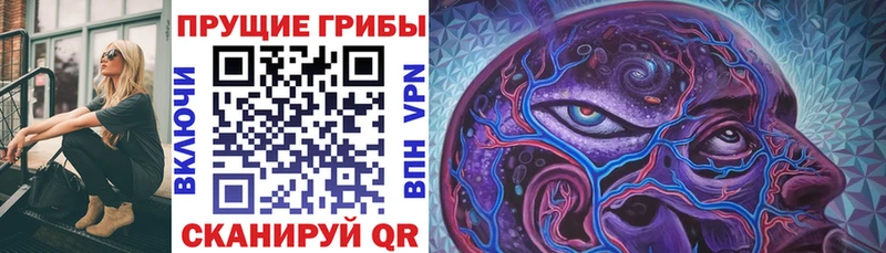 Купить где  Гаврилов Посад  Галлюциногенные грибы Magic Shrooms 